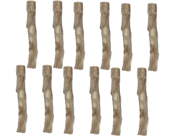 dried bully sticks 12