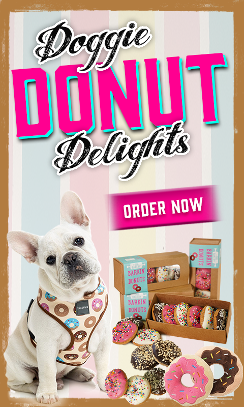 Doggie Donut Delights