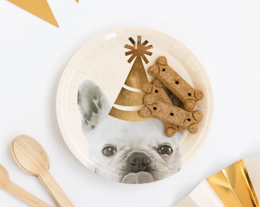 dog paper plates